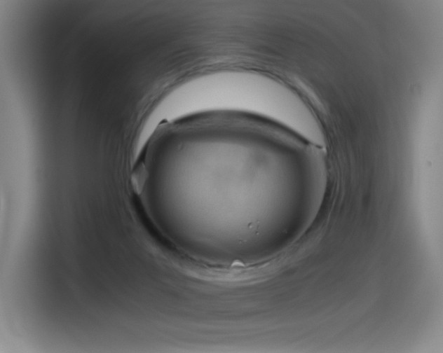 X0000114430023200910161344