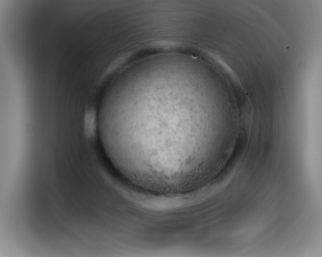 X0000114430024200910161344
