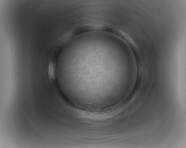 X0000114430026200910161344