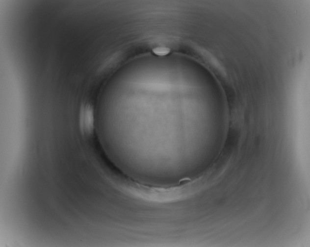 X0000114430027200910161344
