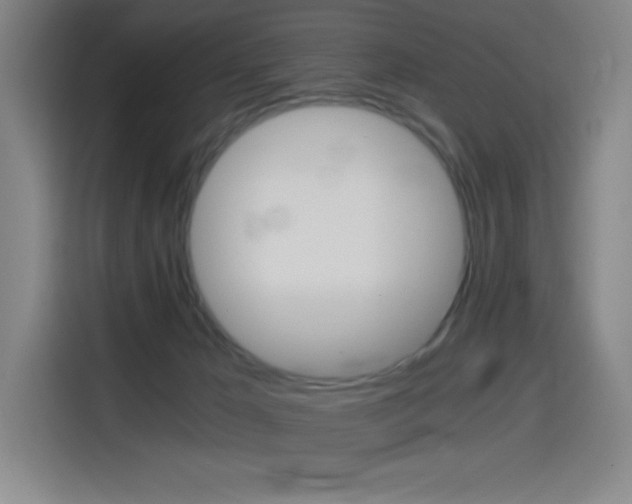 X0000114430029200910161344