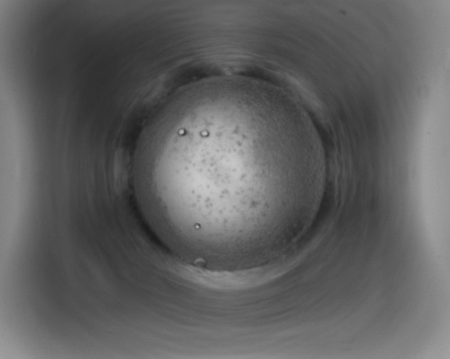 X0000114430030200910161344