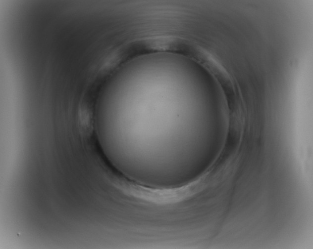 X0000114430031200910161344
