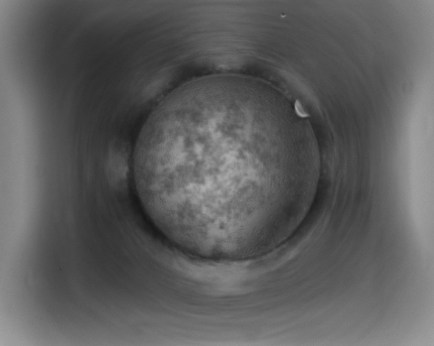 X0000114430032200910161344