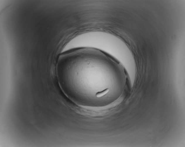 X0000114430035200910161344