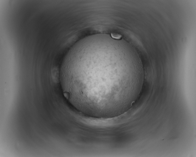 X0000114430036200910161344