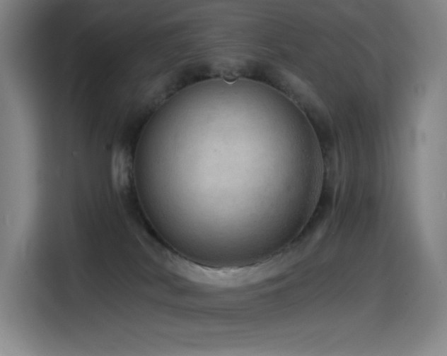 X0000114430038200910161344