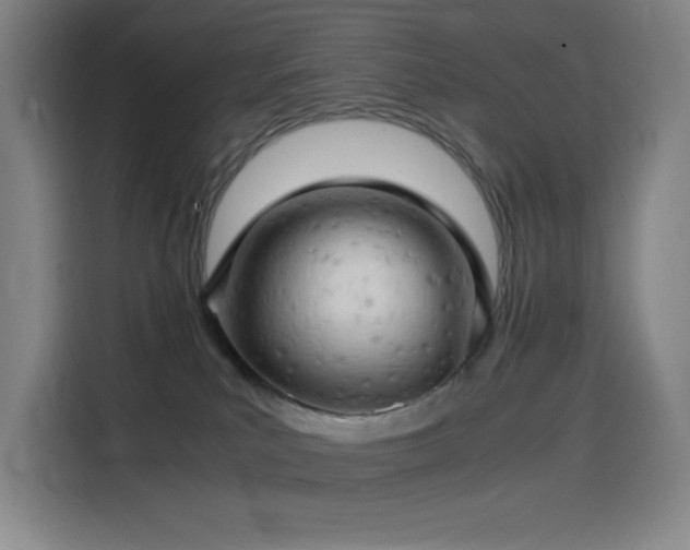 X0000114430039200910161344