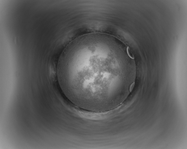 X0000114430040200910161344