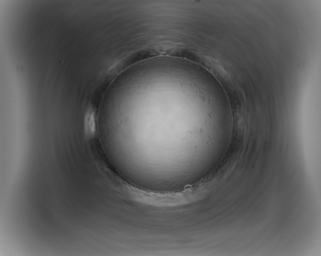 X0000114430042200910161344