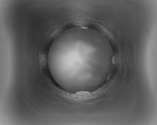 X0000114430043200910161344