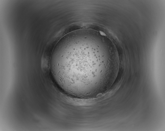 X0000114430044200910161344