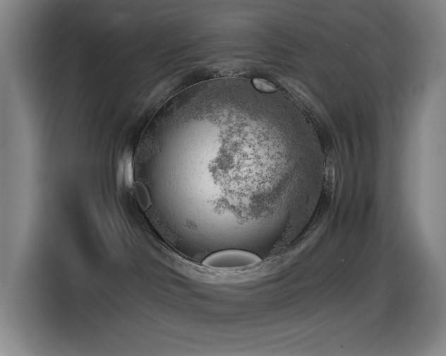 X0000114430046200910161344