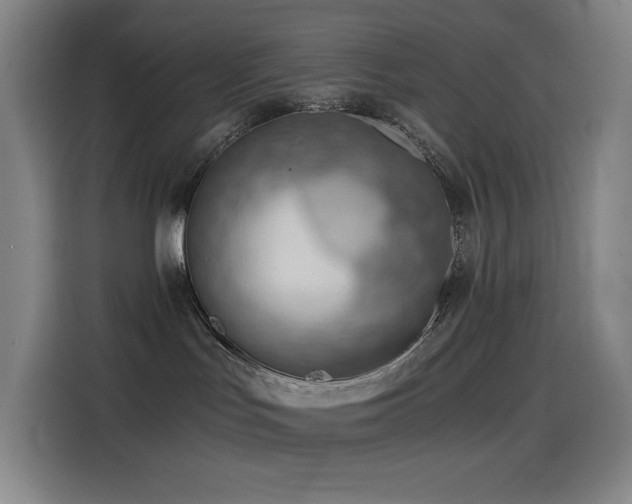 X0000114430047200910161344