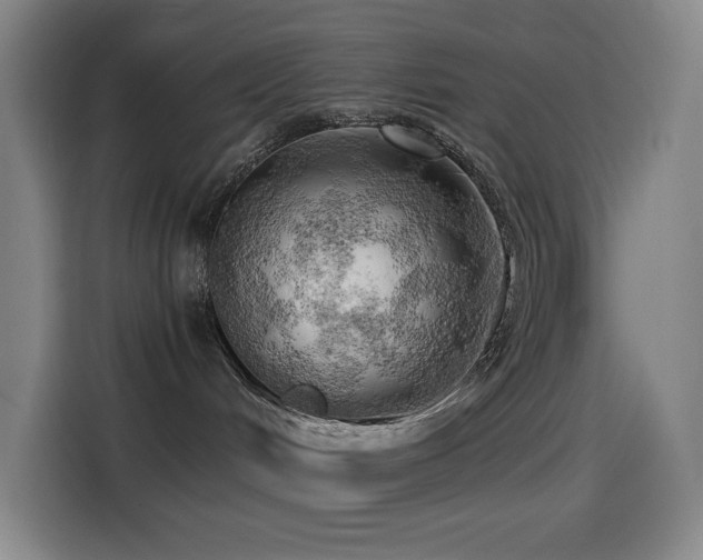 X0000114430048200910161344