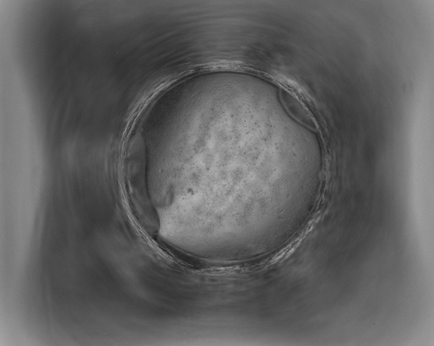 X0000114430049200910161343