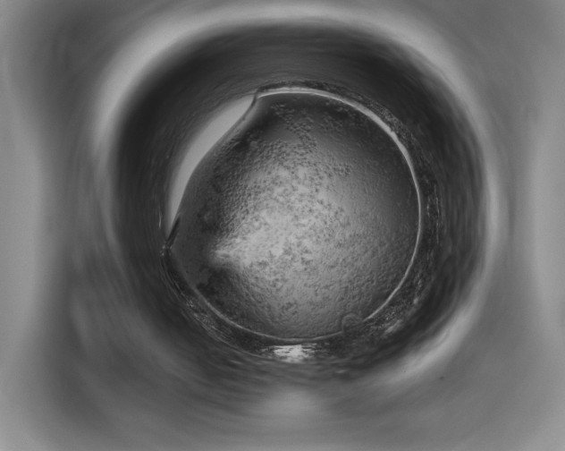X0000114430050200910161343