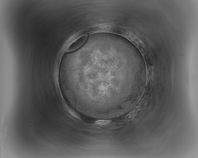 X0000114430051200910161343
