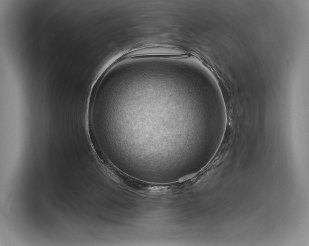 X0000114430052200910161343