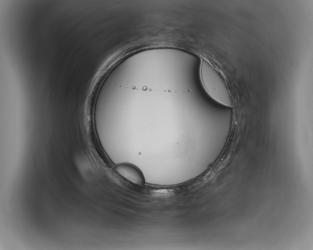 X0000114430053200910161343