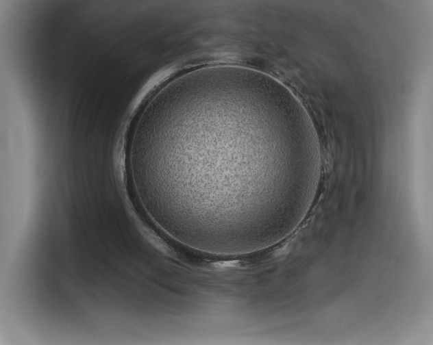 X0000114430054200910161343