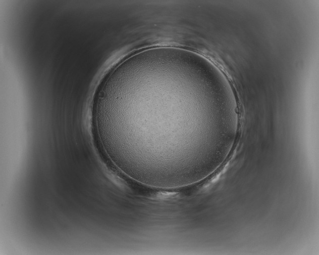 X0000114430055200910161343