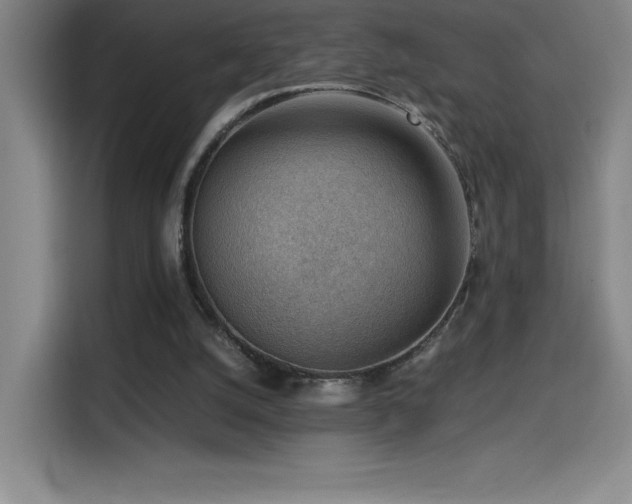 X0000114430056200910161343