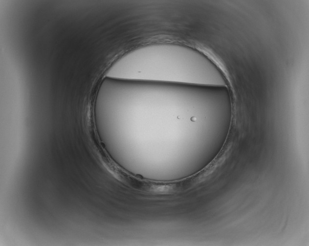 X0000114430057200910161343