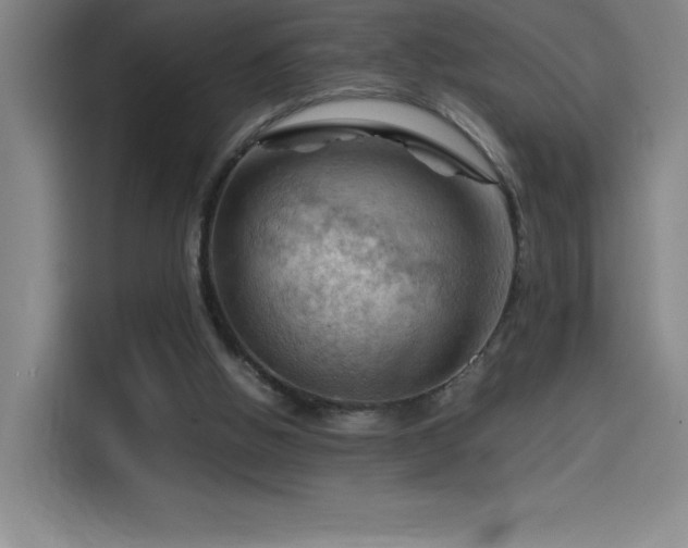 X0000114430058200910161343