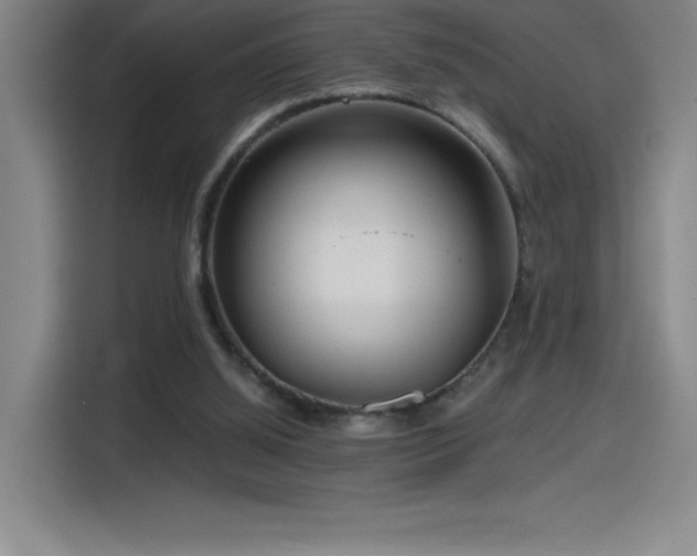 X0000114430060200910161343