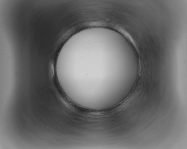 X0000114430061200910161343