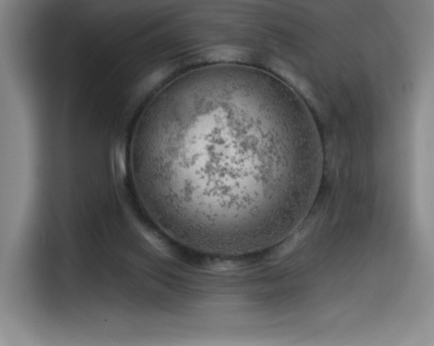 X0000114430062200910161343
