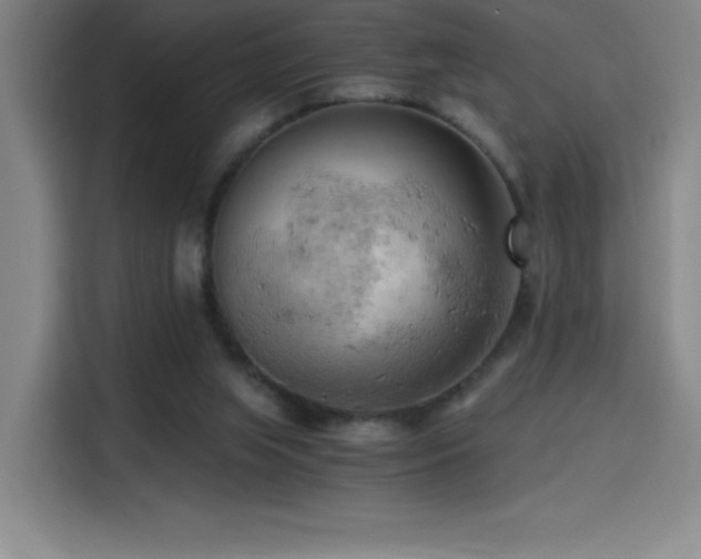X0000114430063200910161343