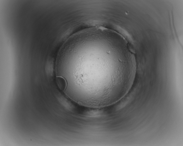 X0000114430065200910161343