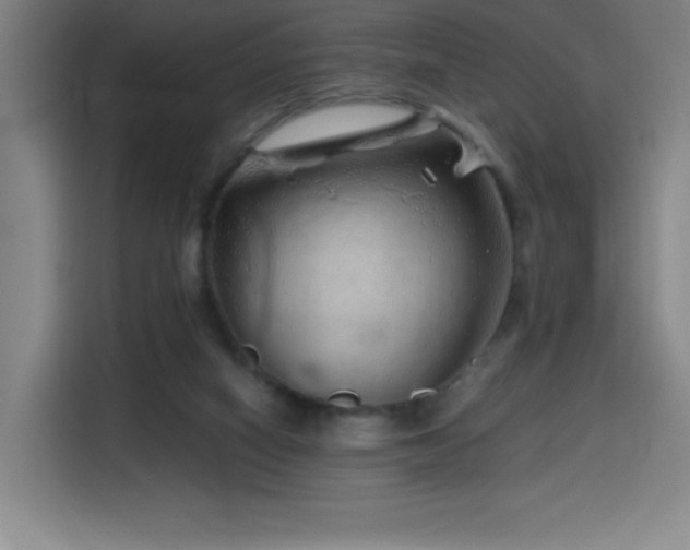 X0000114430066200910161343
