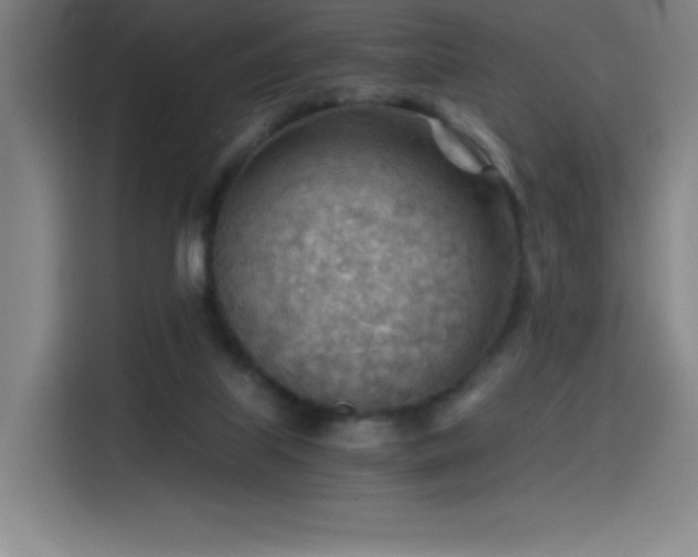 X0000114430067200910161343