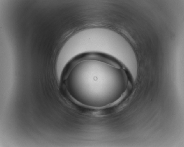 X0000114430068200910161343