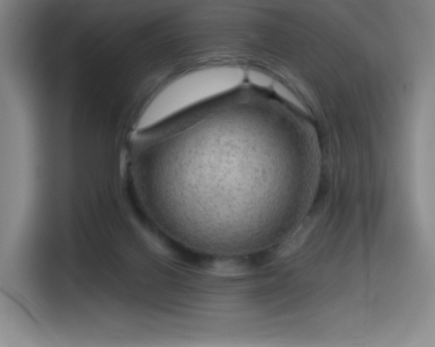 X0000114430070200910161343