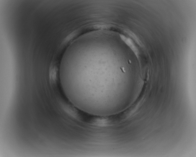X0000114430071200910161343