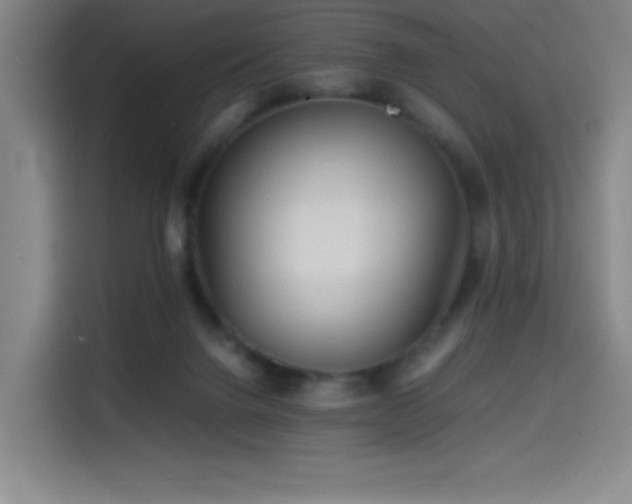 X0000114430072200910161343