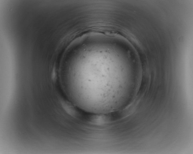X0000114430074200910161343