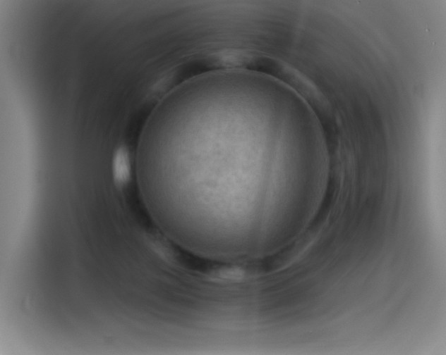 X0000114430075200910161343