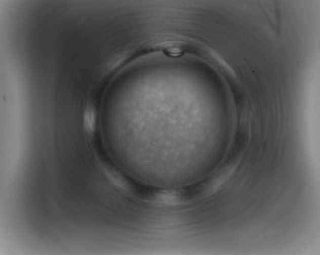 X0000114430076200910161343