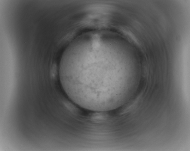 X0000114430077200910161343