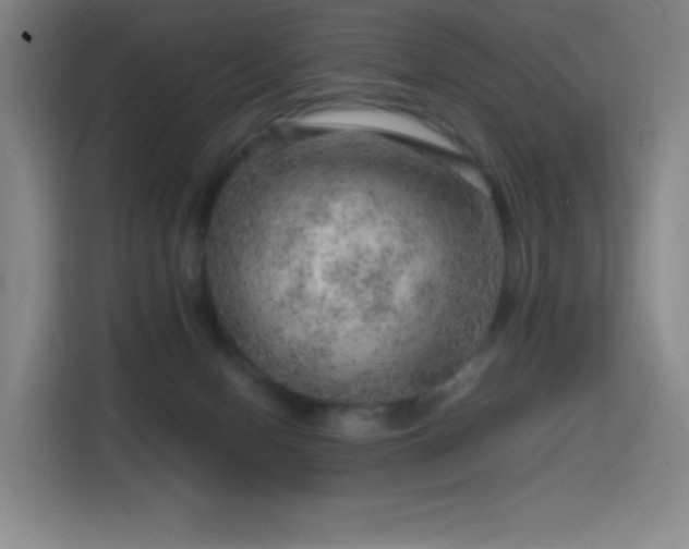 X0000114430078200910161343