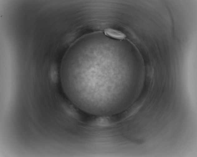 X0000114430080200910161343