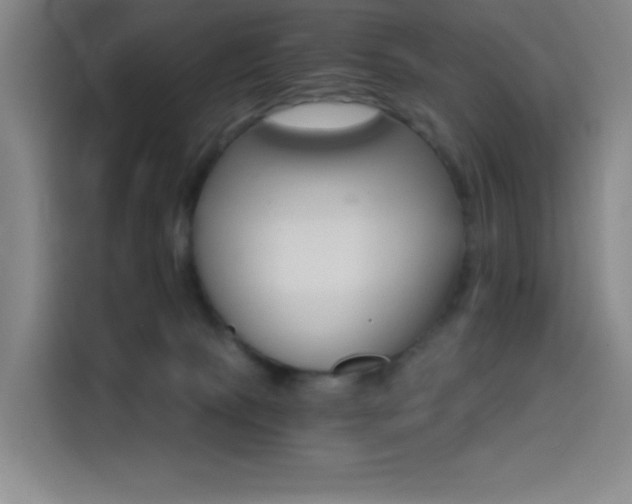 X0000114430081200910161343