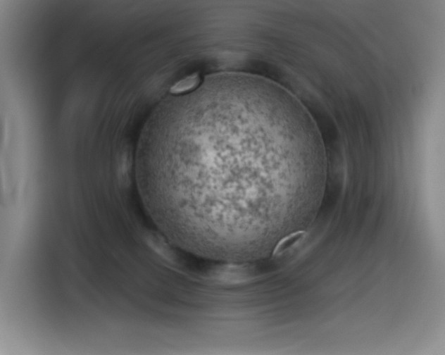 X0000114430082200910161344