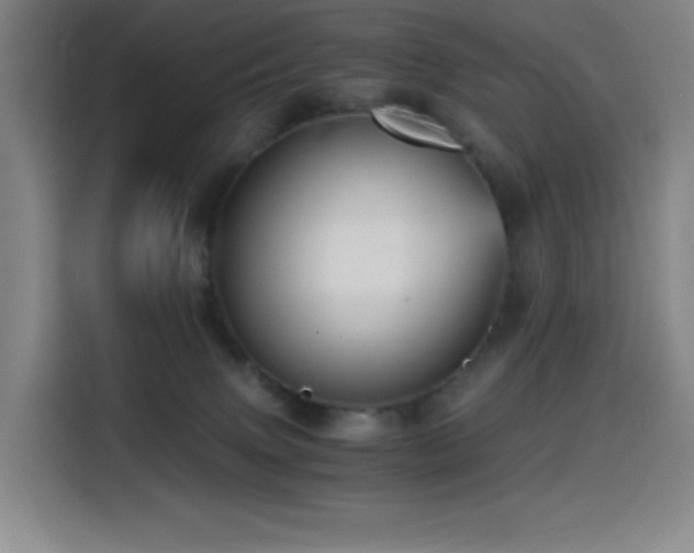 X0000114430083200910161344