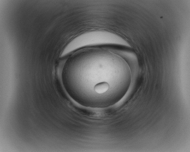 X0000114430084200910161344